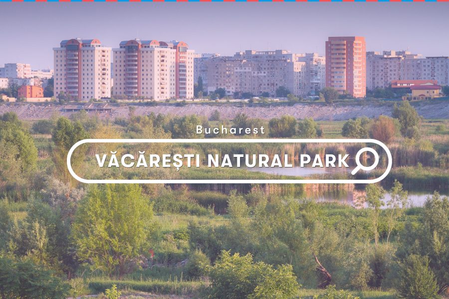 Romania Explore: Văcărești Natural Park
